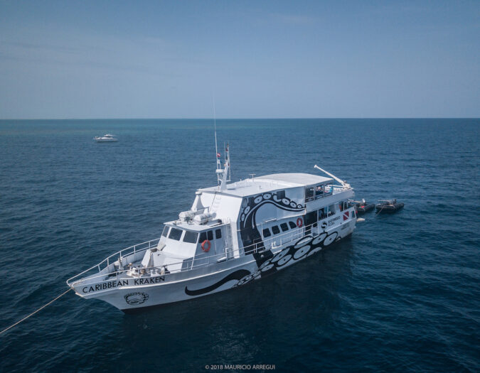 Caribbeankraken (10 of 215)