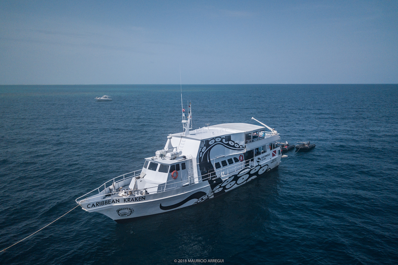 Valle de las Mantarrayas y Barcos Hundidos